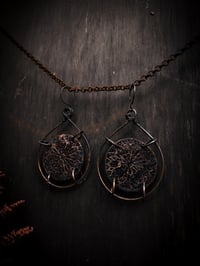 Image 2 of rose windows