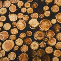 Image 1 of Nature - Logs