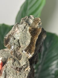 Image 4 of XL HALF POLISHED HIMALAYAN RUTILE IN QUARTZ CLUSTER B