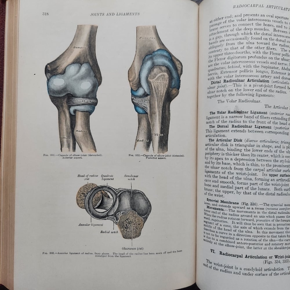 Gray's Anatomy, by Henry Gray - 1943