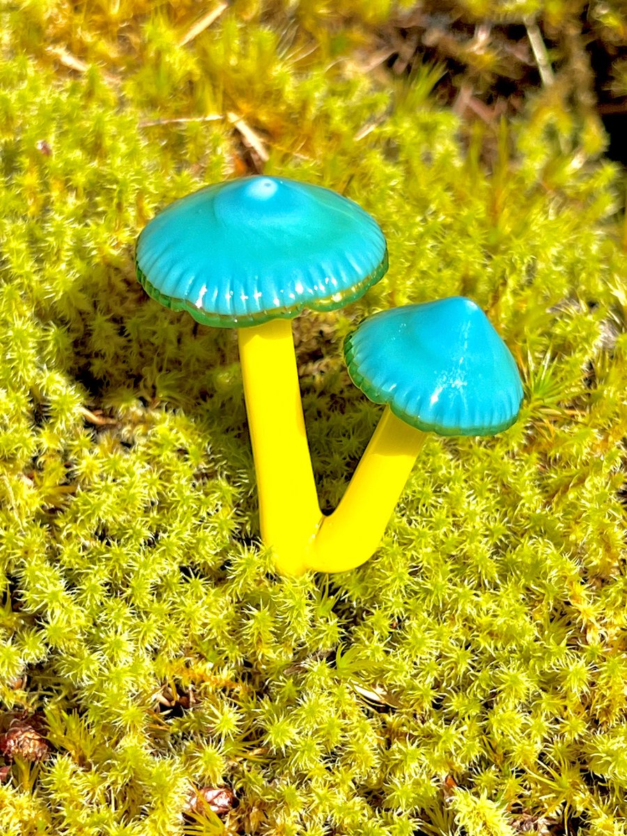 Image of 2 Blue & Yellow Mushroom Plant Spikes