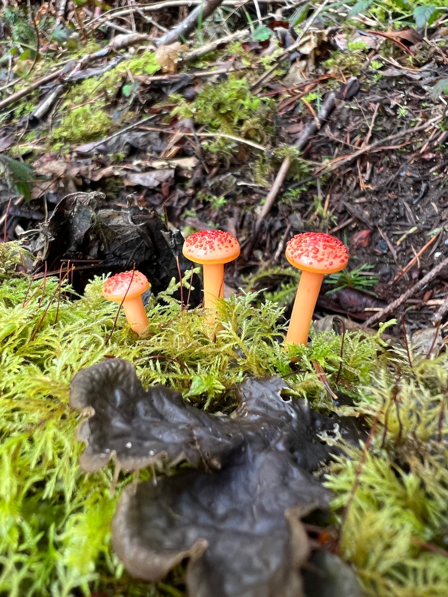Image of 3 Mini Orange & Red Mushroom Spike Pendants
