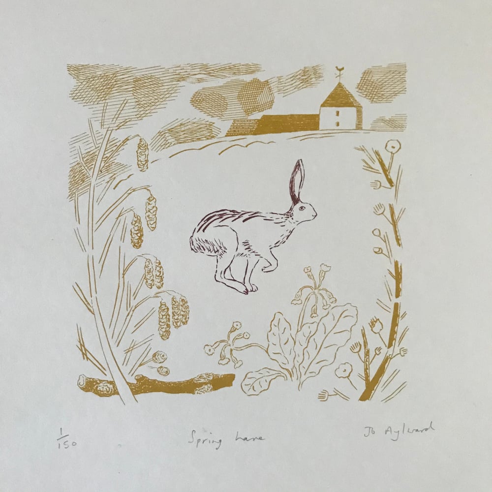 Image of Spring hare
