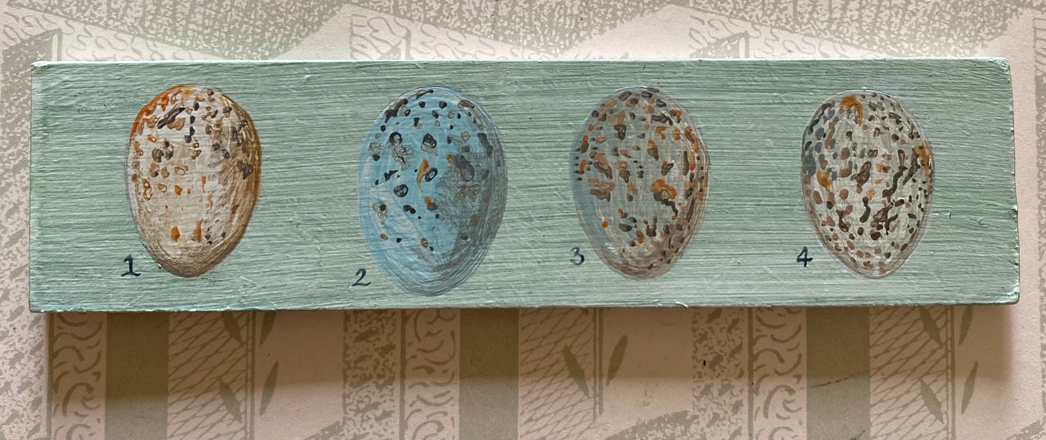 Image of Four eggs (A)