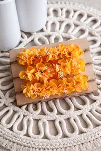 Image 5 of mini halo Soleil 