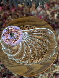 Image 1 of It's Giving Shells 