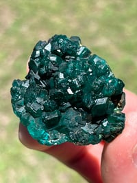 Image 8 of Dioptase Specimen #2539