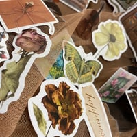 Image 4 of Cottage core stickers 