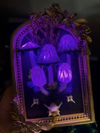 Image 2 of Inky cap frame led