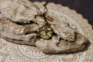 Image of Ball Python Bronze Collection