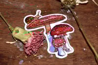 Image 2 of mushroom snail sticker
