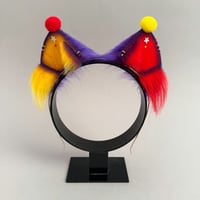 Image 1 of Red/Yellow Clown Kitten