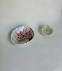 Image 2 of Porcelain Shells - Worry Stone Set