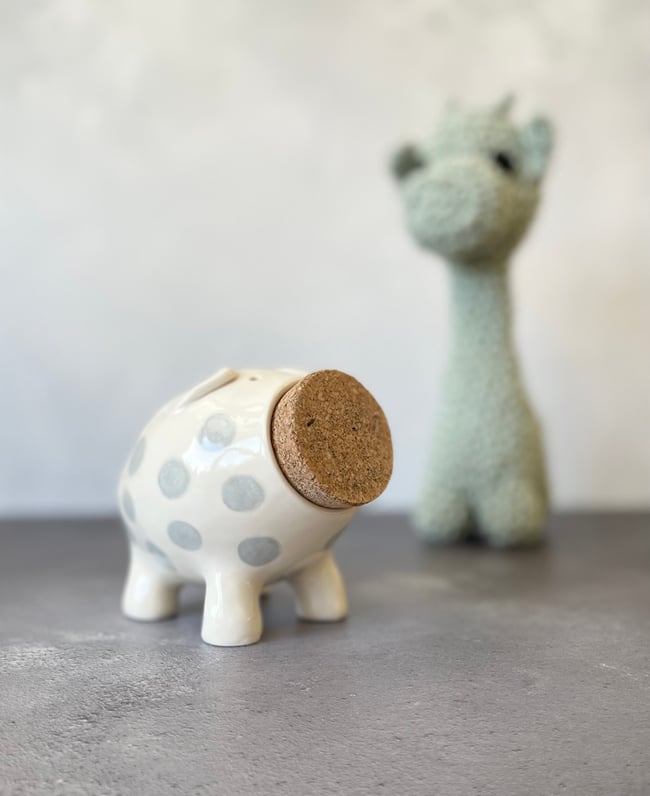 Silver Spots Piggy Bank