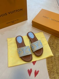 Image 7 of lv 