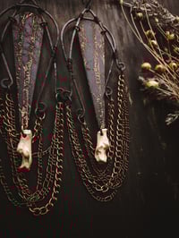 Image 4 of Birch Forest