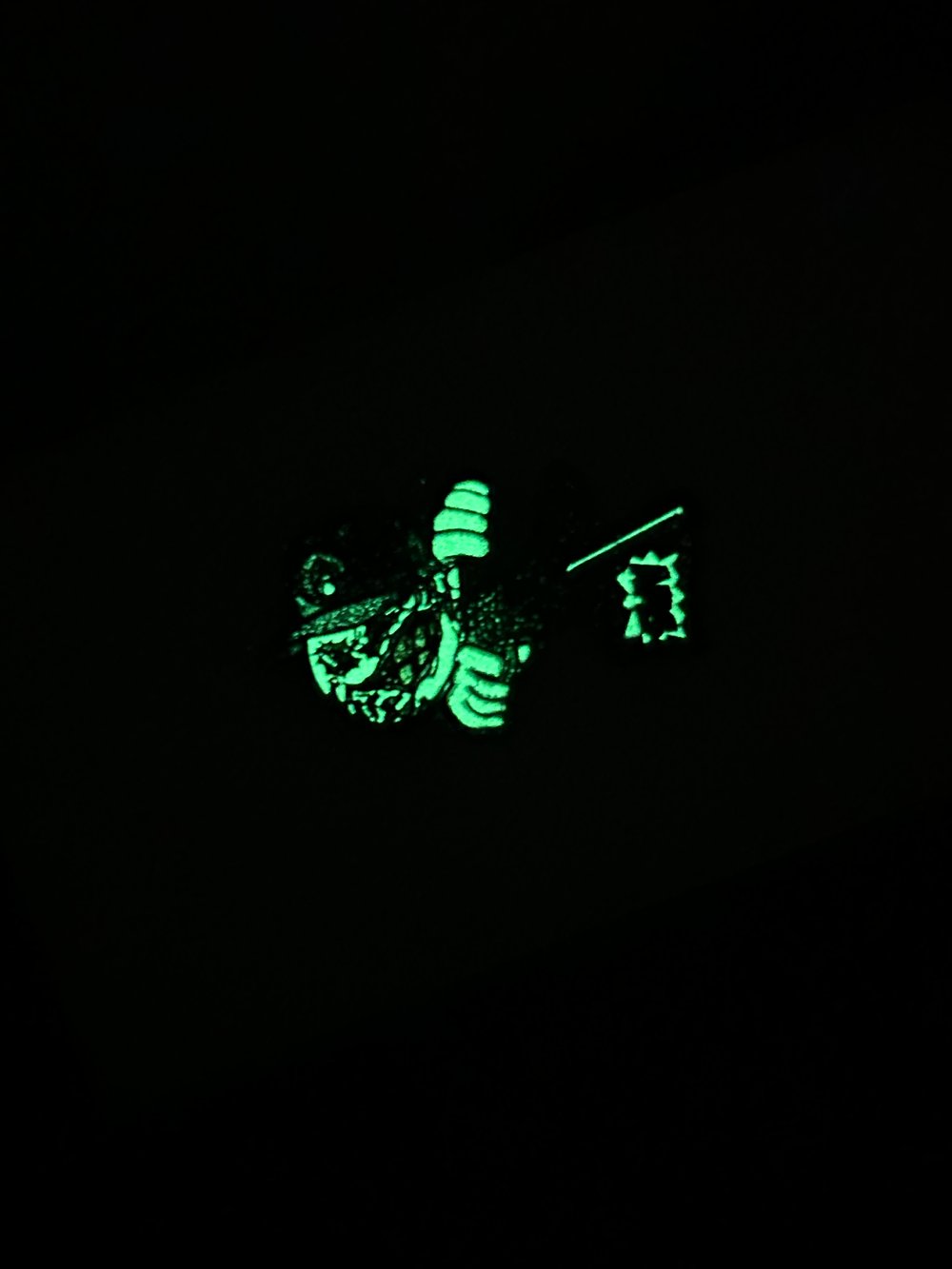 AMS x St8y_Fitted_303 Collab