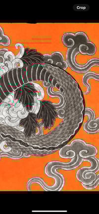 Image 4 of SNAKE ORANGE BACKGROUND 