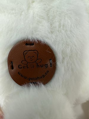 Image of 2 Get Hug Bears with 4 outfits Free Shipping 