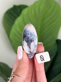 Image 17 of DENDRITIC OPAL SHIVAS