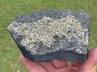 Image 5 of Shungite With Cubic Pyrite #569