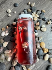 Image 1 of Rose Hibiscus Ice Toner