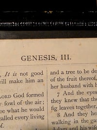 Image 3 of "Original Sin" 1800s Bible Page & Preseved Web 