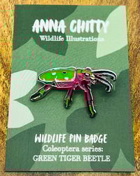 Image 1 of Green Tiger Beetle - Anna Chitty Wildlife Designs