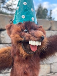 Image 2 of Party Animal 