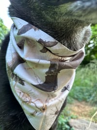 Image 5 of Vintage Anatomy Critter Poster Bandana 