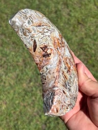 Image 6 of Mexican Lace Agate Crystal Moon Carving #2915