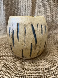 Image 4 of Coconut Bob