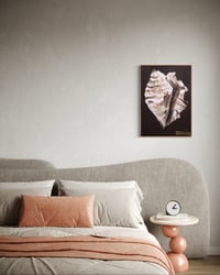 Image 7 of Conch Shell Print