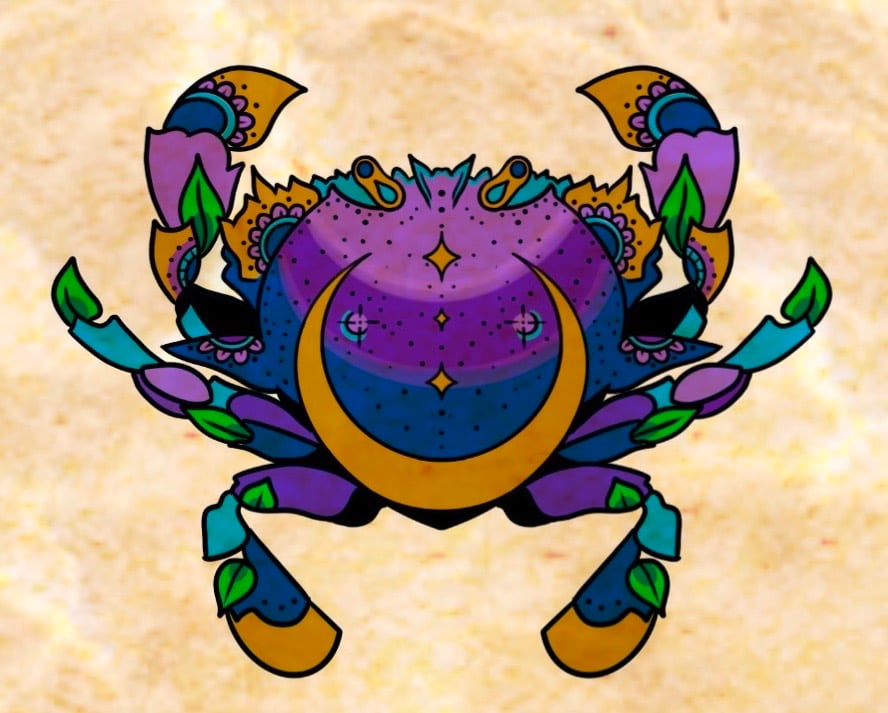 Image of Moon Crab 