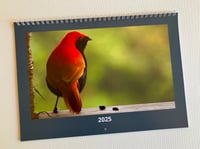 Image 1 of 2025 Bird Calendar 