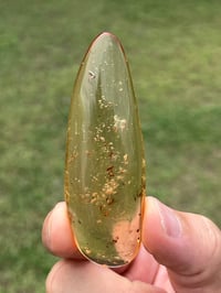 Image 3 of Copal Amber With Preserved Insects #2629