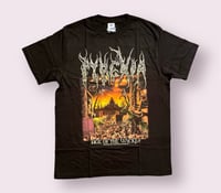 Image 2 of Pyrexia