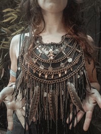 Image 2 of Feral breastplate 
