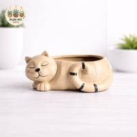Cat Planter Pot