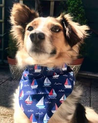 Image 3 of Sailor Dog Bandana