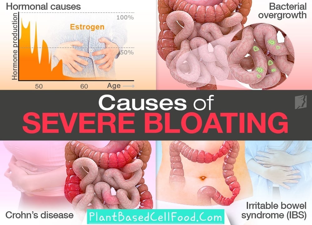 BLOAT NO MORE! Fennel Seed Powder/Teabags. Phlegm-Gas-IBS-Memory-GERD-Chemo-Menopause-Lactation