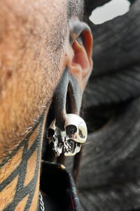 Image 1 of Totek Earweights 