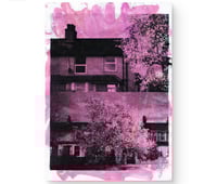 Image 1 of SPRINGTIME 