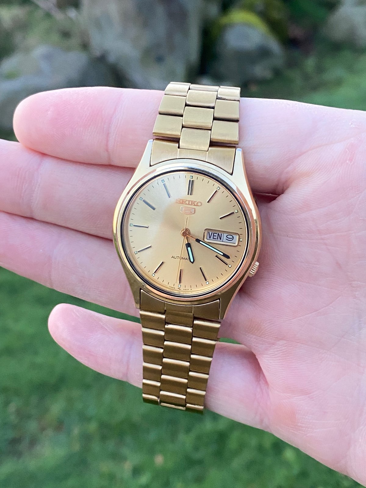 Seiko 5 Automatic Gold NEJewelleryCo