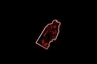 Image 3 of Devil in the Details