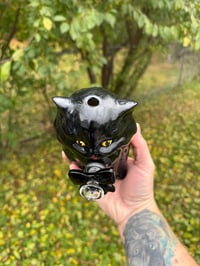 Image 5 of Medium Kittens 