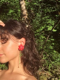 Image 2 of Daisy Fuchsia