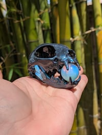 Image 1 of Opal Cat Skull 