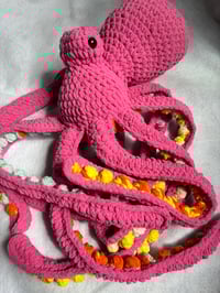Image 1 of anchor octopus 