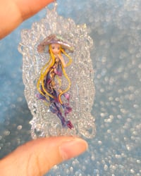Image 2 of Amelia - medusina